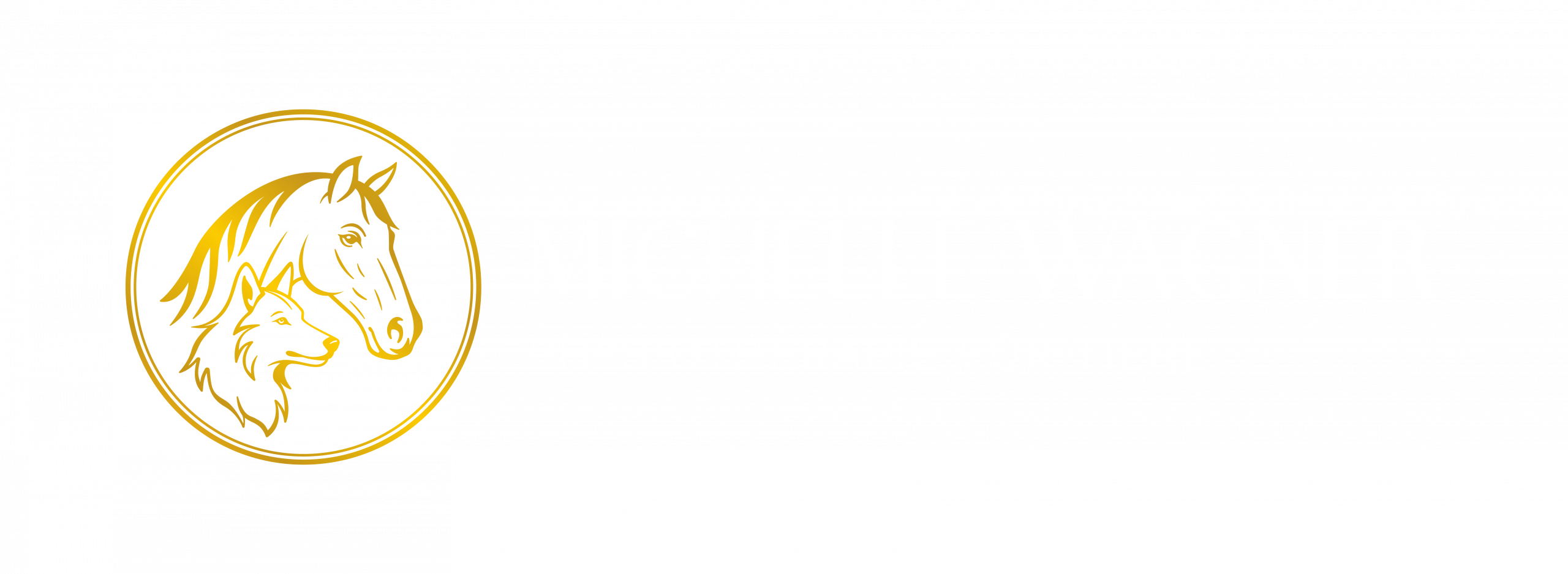 Tierphysiotherapie Kirchdorf an der Iller bei Memmingen