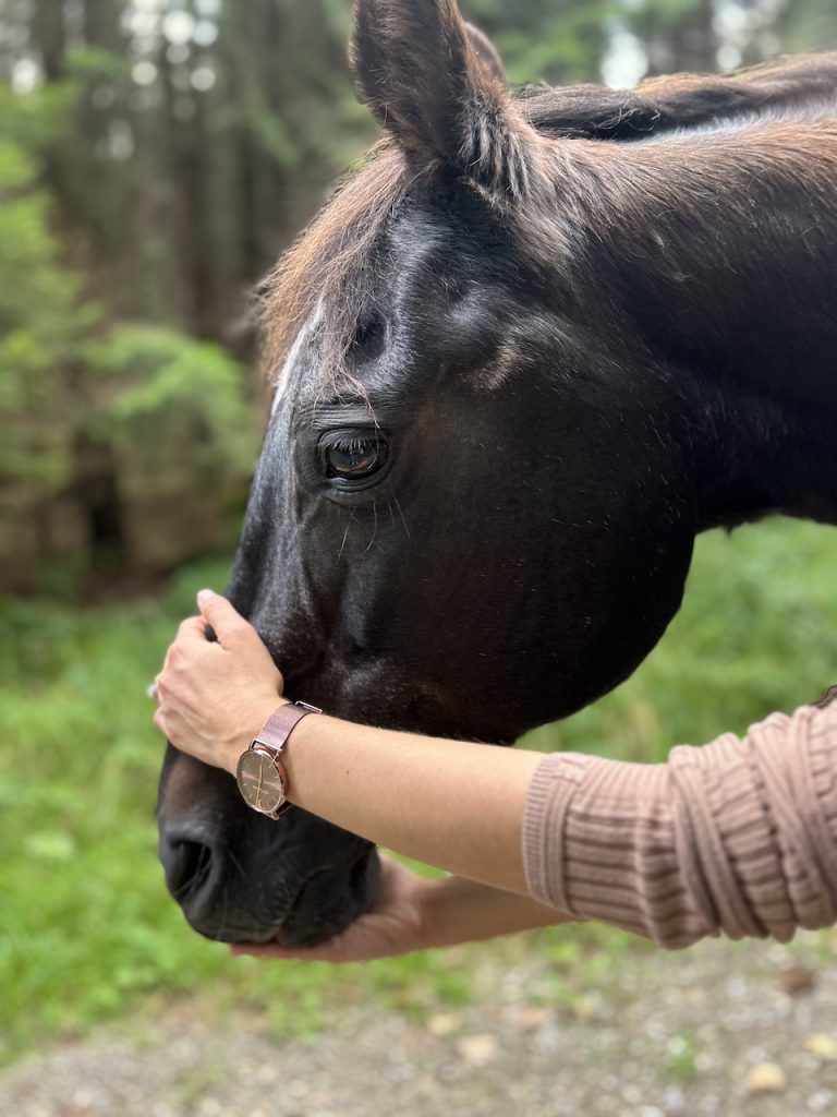 Pferdephysiotherapie für Senioren zur Förderung der Beweglichkeit und zur Linderung von Beschwerden im Alter.
