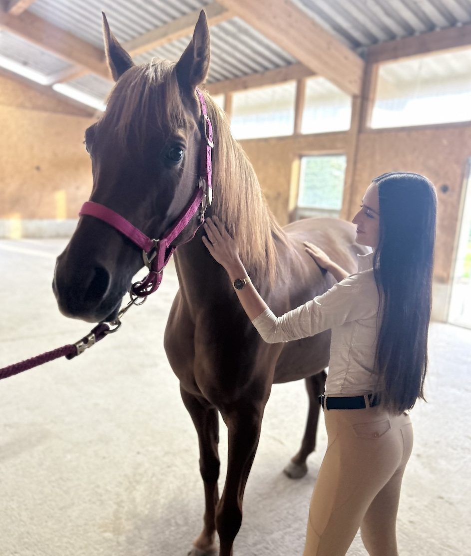 Michelle Wagner, Tierphysiotherapeutin, führt eine entspannende Wellness-Massage bei einem Pferd in der Umgebung Kirchdorf a. d. Iller durch.