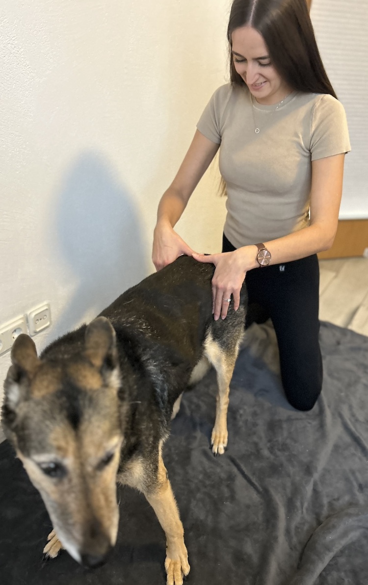 Michelle Wagner palpiert das Becken eines Hundes für die Behandlung mit der Dornmethode.