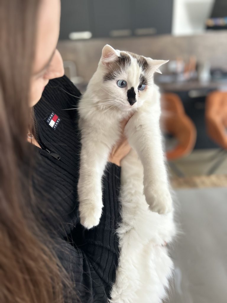 Michelle Wagner bei der Physiotherapie Behandlung an einer Katze.